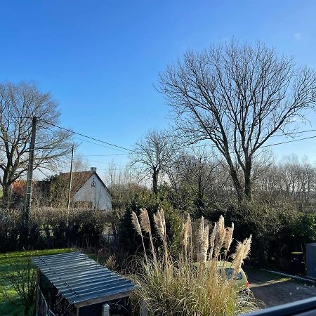 L'Echappee Flamande Hazebrouck Eksteriør billede